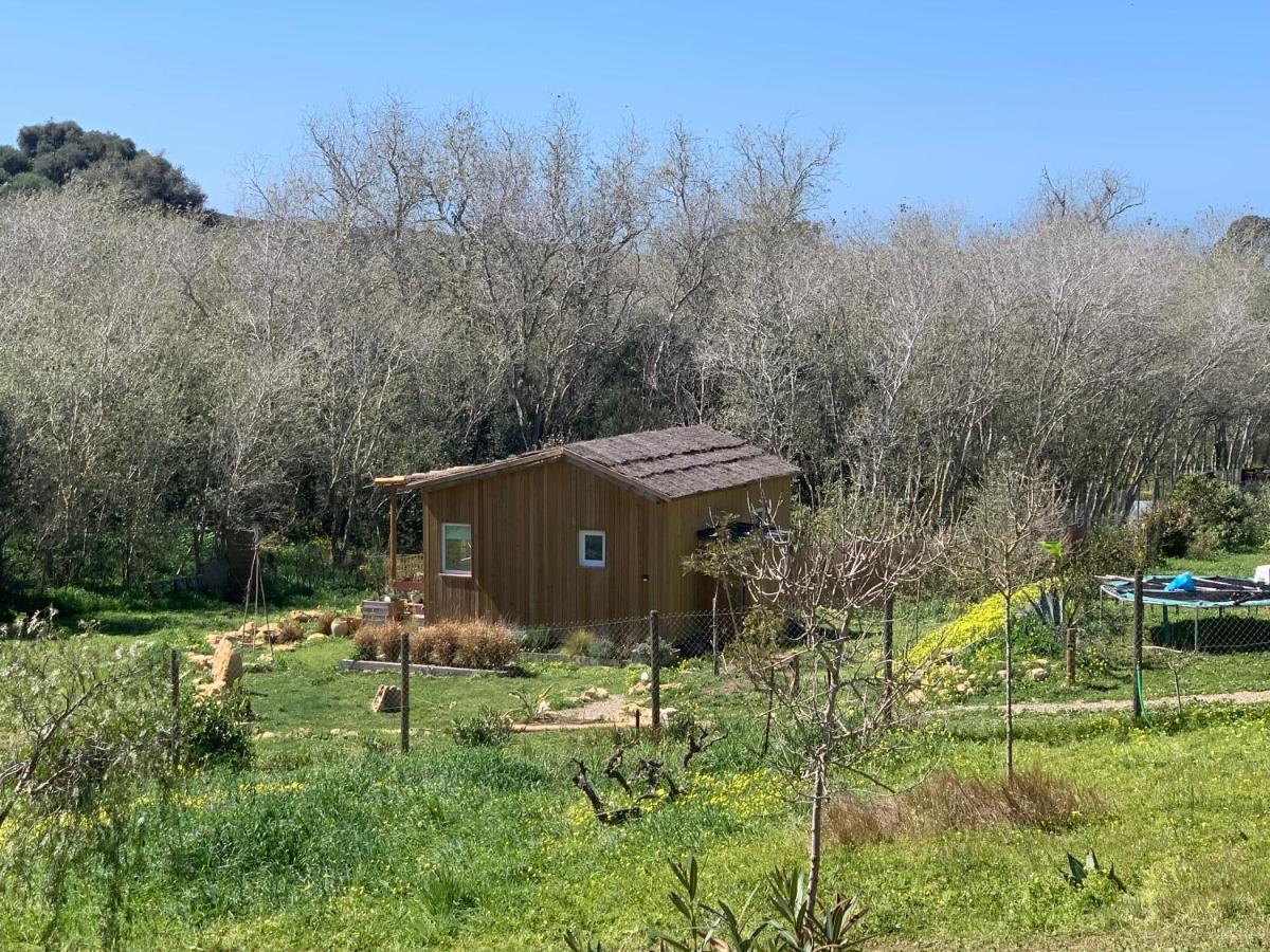 Cabana Casaotto Los Canos De Meca Buitenkant foto